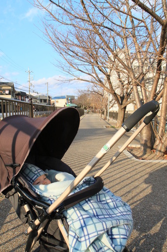 連れまわされてます。