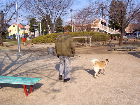 RIMG0035