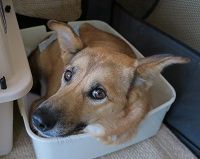 IMG_0179 T
