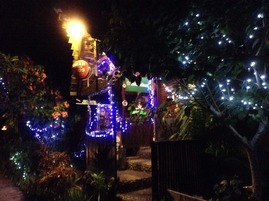 jungle bar