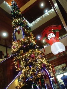 Xmas tree