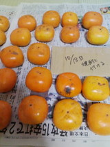 62c44923.jpg
