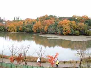 DSCF0017