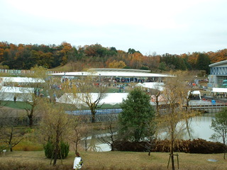 DSCF0011