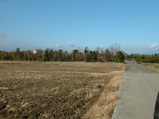 DSCF0011