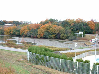 DSCF0015
