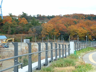 DSCF0005