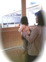 suzu1