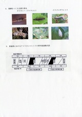 img177s
