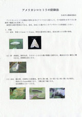 img175s