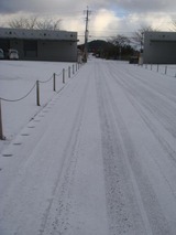 PHOTO004