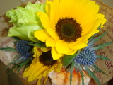 PHOTO007