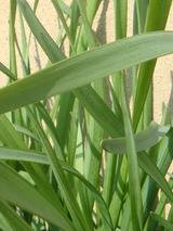 PHOTO024