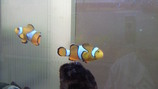 201006141101000