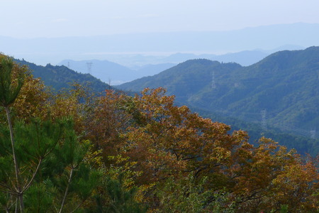 P1080969