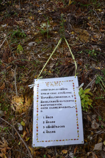 P1080876