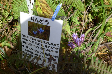 P1080885