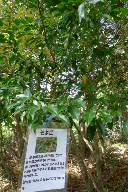 P1080891