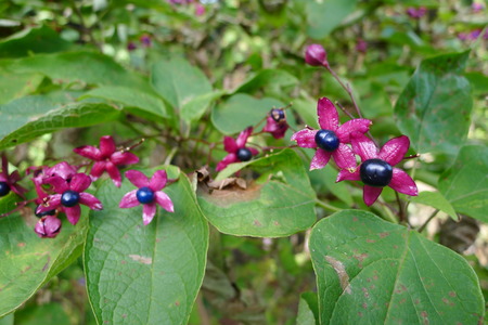 P1080915