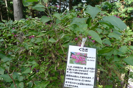 P1080913