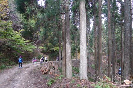 P1090011