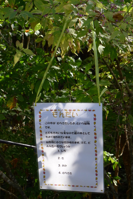 P1080889