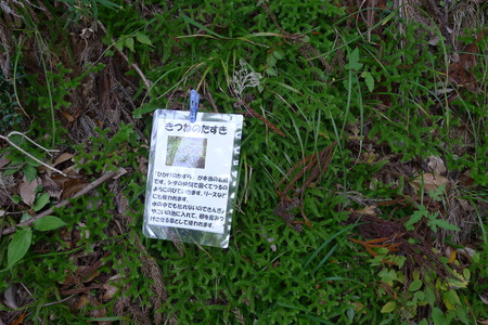 P1080874