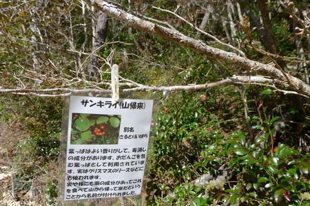 P1080921