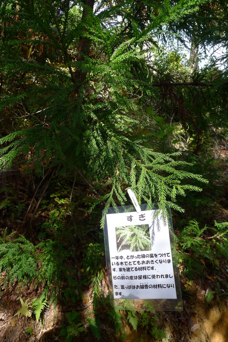 P1080880