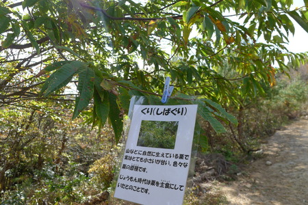 P1080918