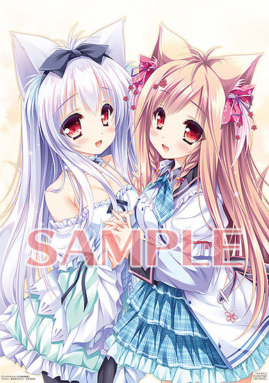 resize_image