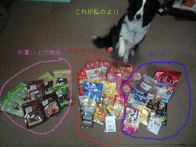 BlogPaint