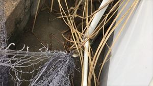 IMG_0238_R