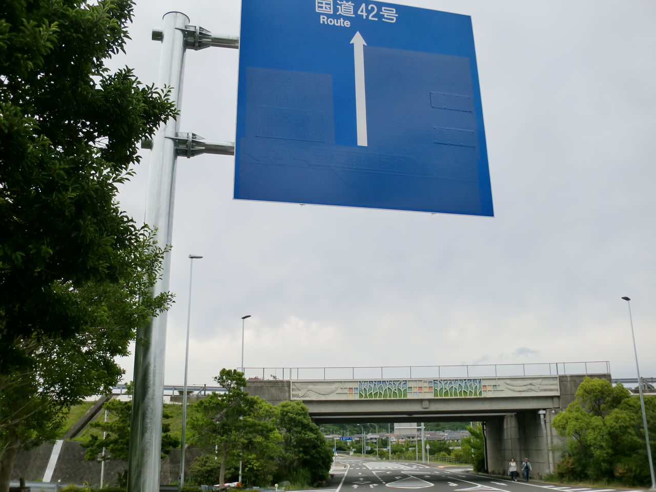 CIMG5555