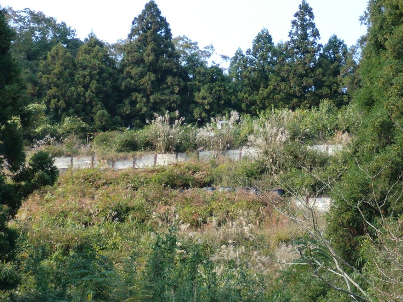 CIMG6827