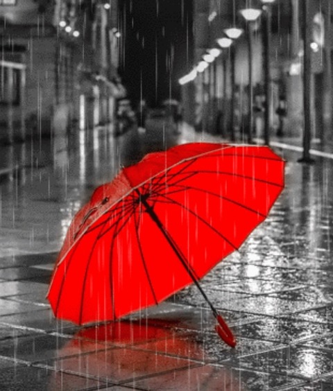 166A7848-1C6A-4547-AD8F-674961D4F566