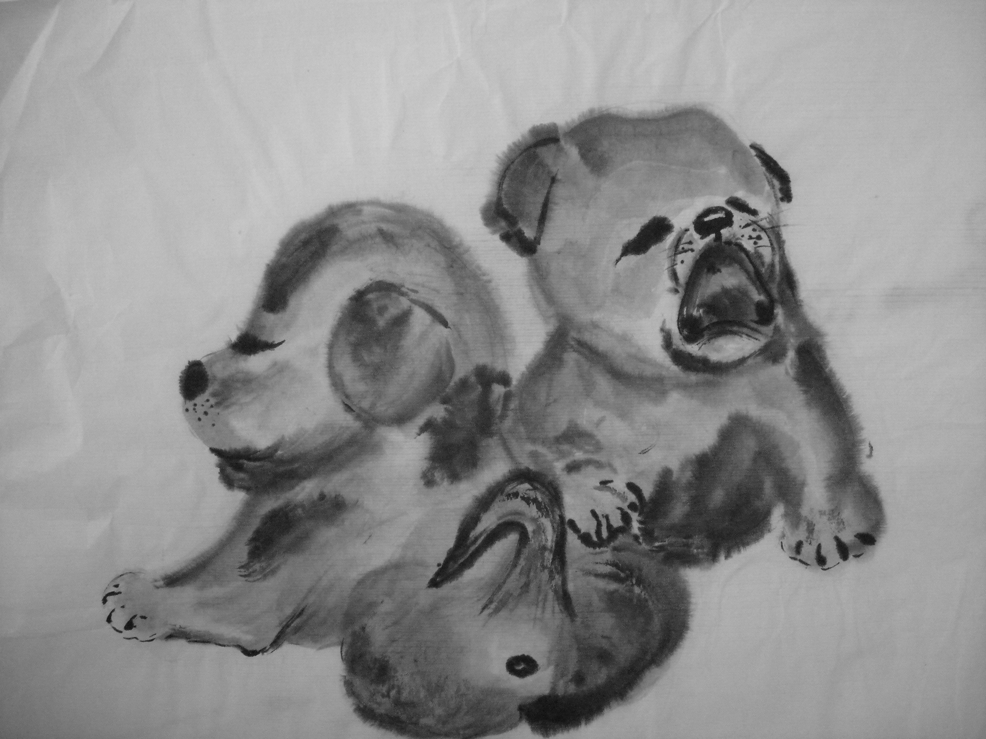 美江子の墨絵アルバム 犬 Livedoor Blog ブログ