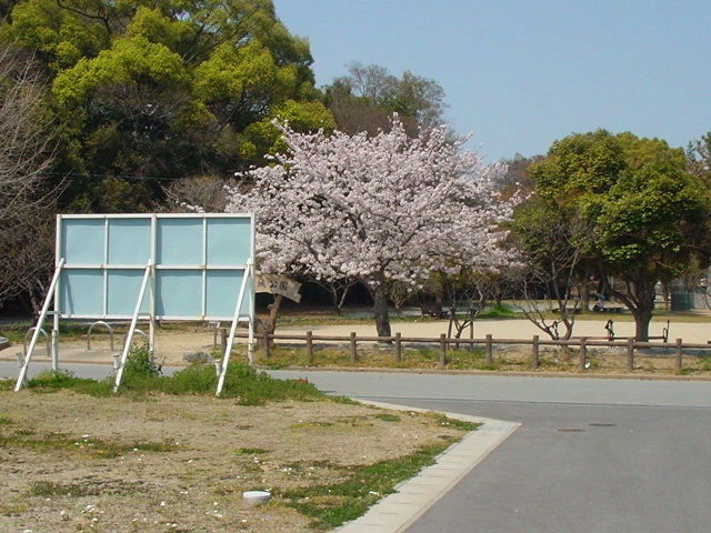DSC07433