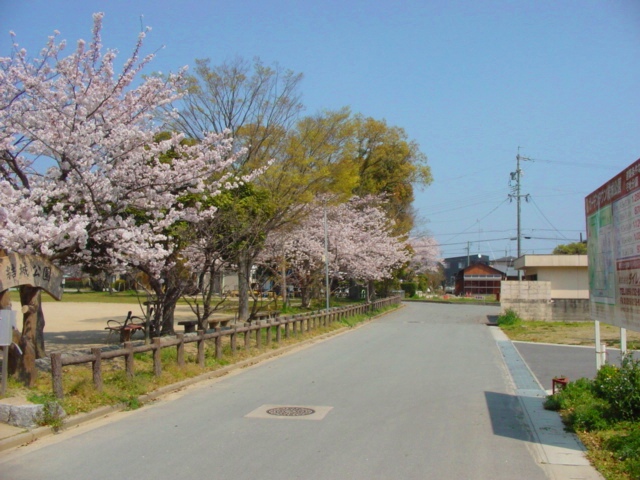 DSC07445