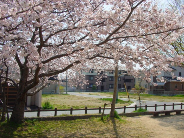 DSC07440