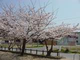 c76056fb.JPG