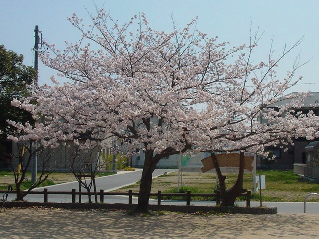 DSC07435