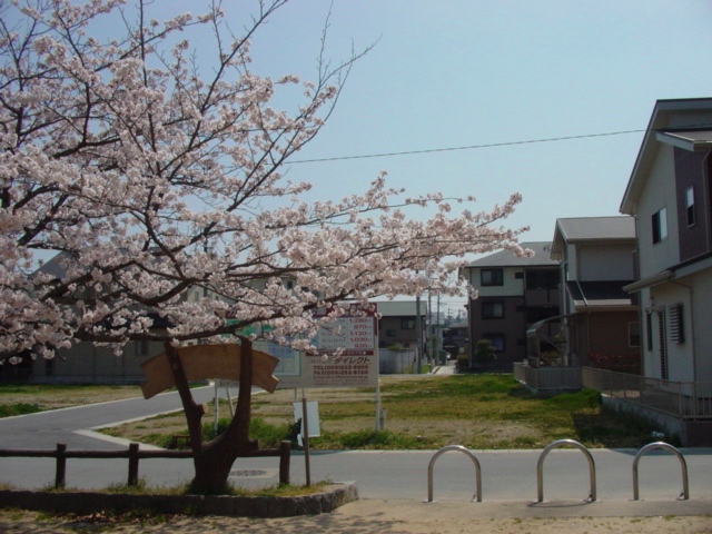 DSC07441