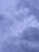 7280c1d7.JPG