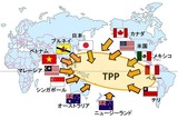 2010ǯ¤«¤é¸ò¾Ä¤¬»Ï¤Þ¤Ã¤Æ¤¤¤ëTPP