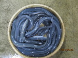 4.29入荷中国