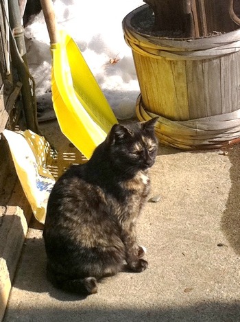 security manager