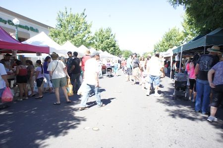 DSC03544
