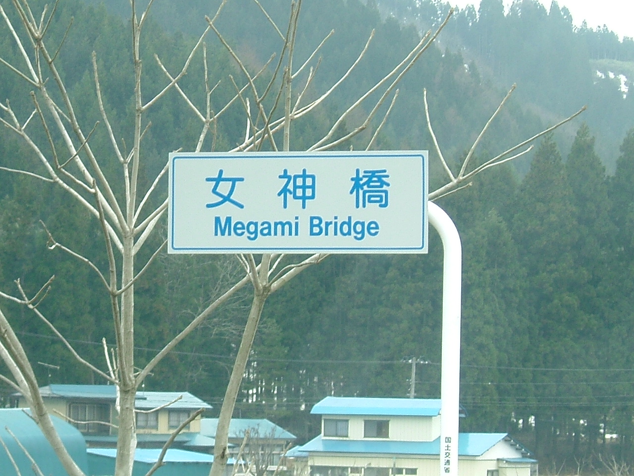 栄光の架橋 の掲示板投稿写真＆画像