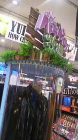 08d629d6.jpg